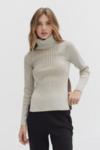 Lindsey Ribbed Turtleneck